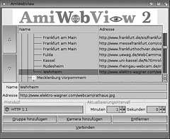 AmiWebView GUI